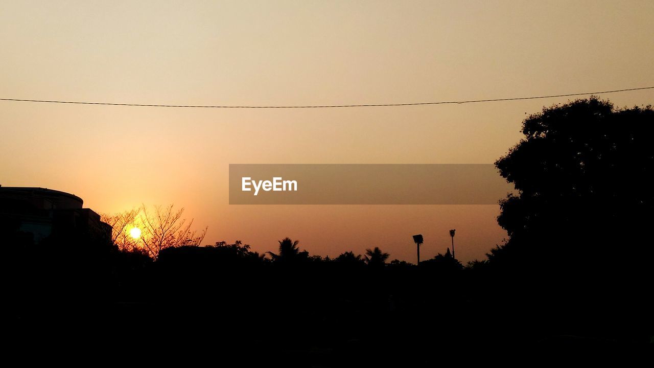 SILHOUETTE OF TREES AT SUNSET