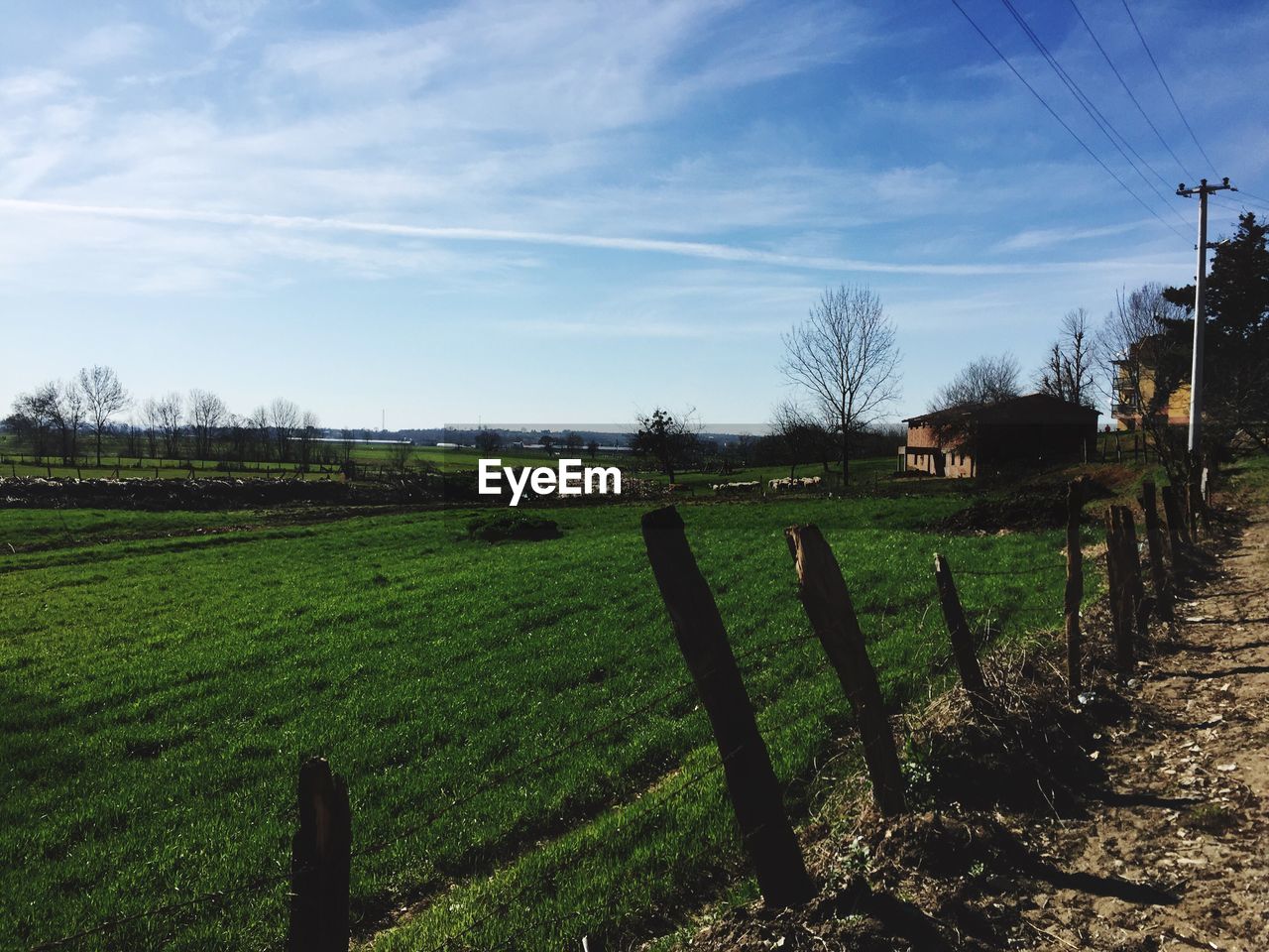 AGRICULTURAL FIELD AGAINST SKY