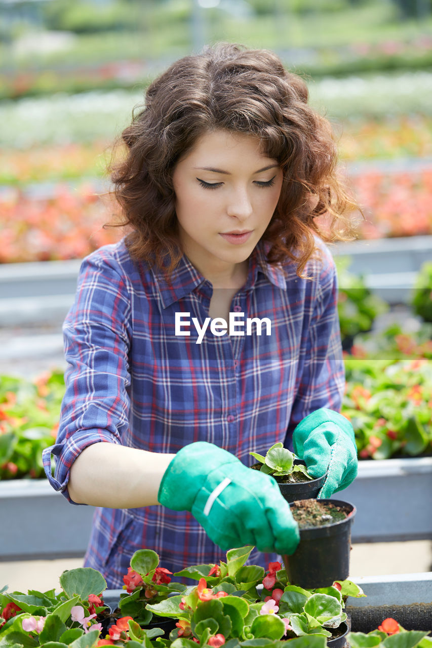 Young woman potting plants in greenhouse