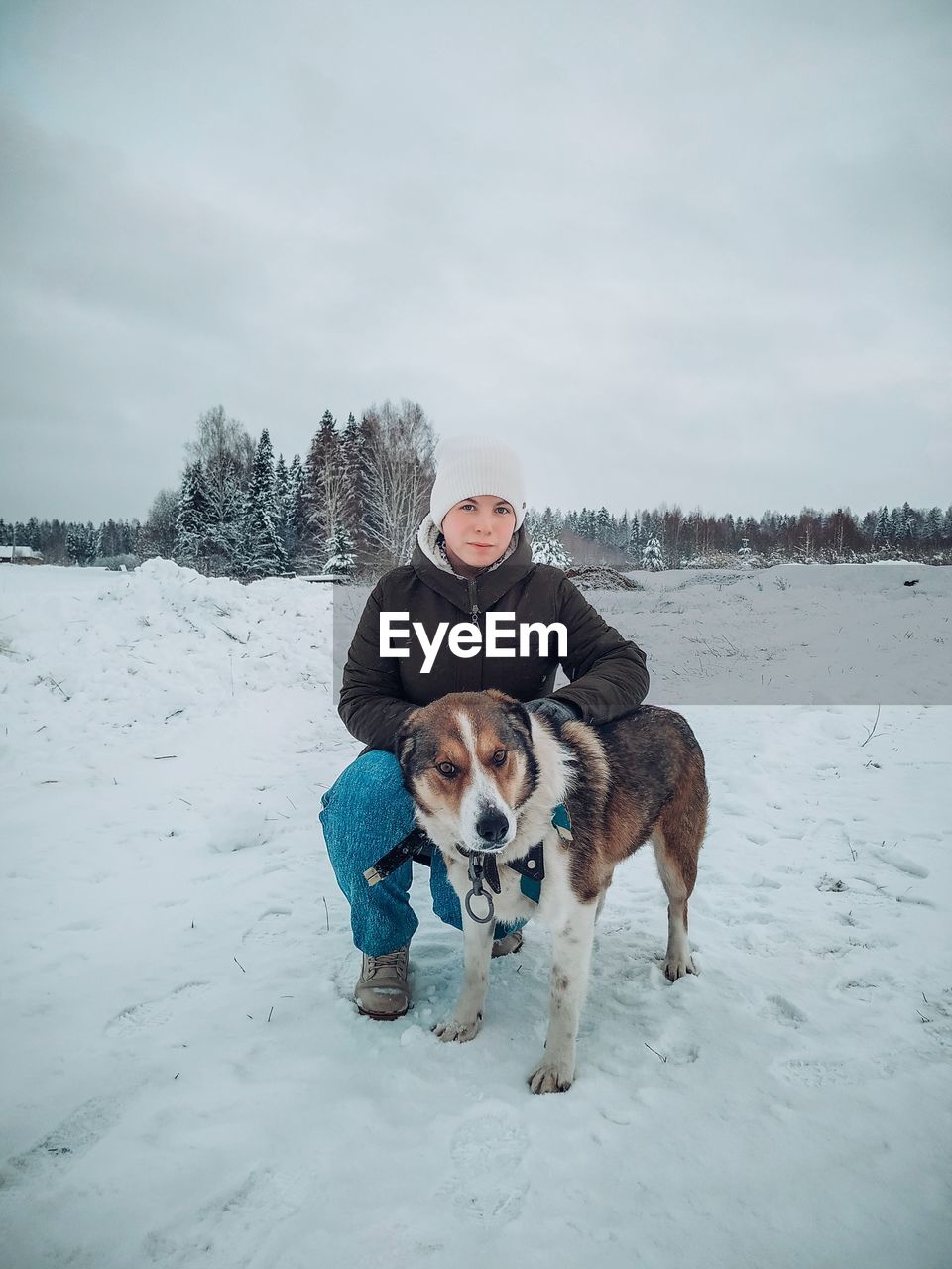 dog running on snow covered field