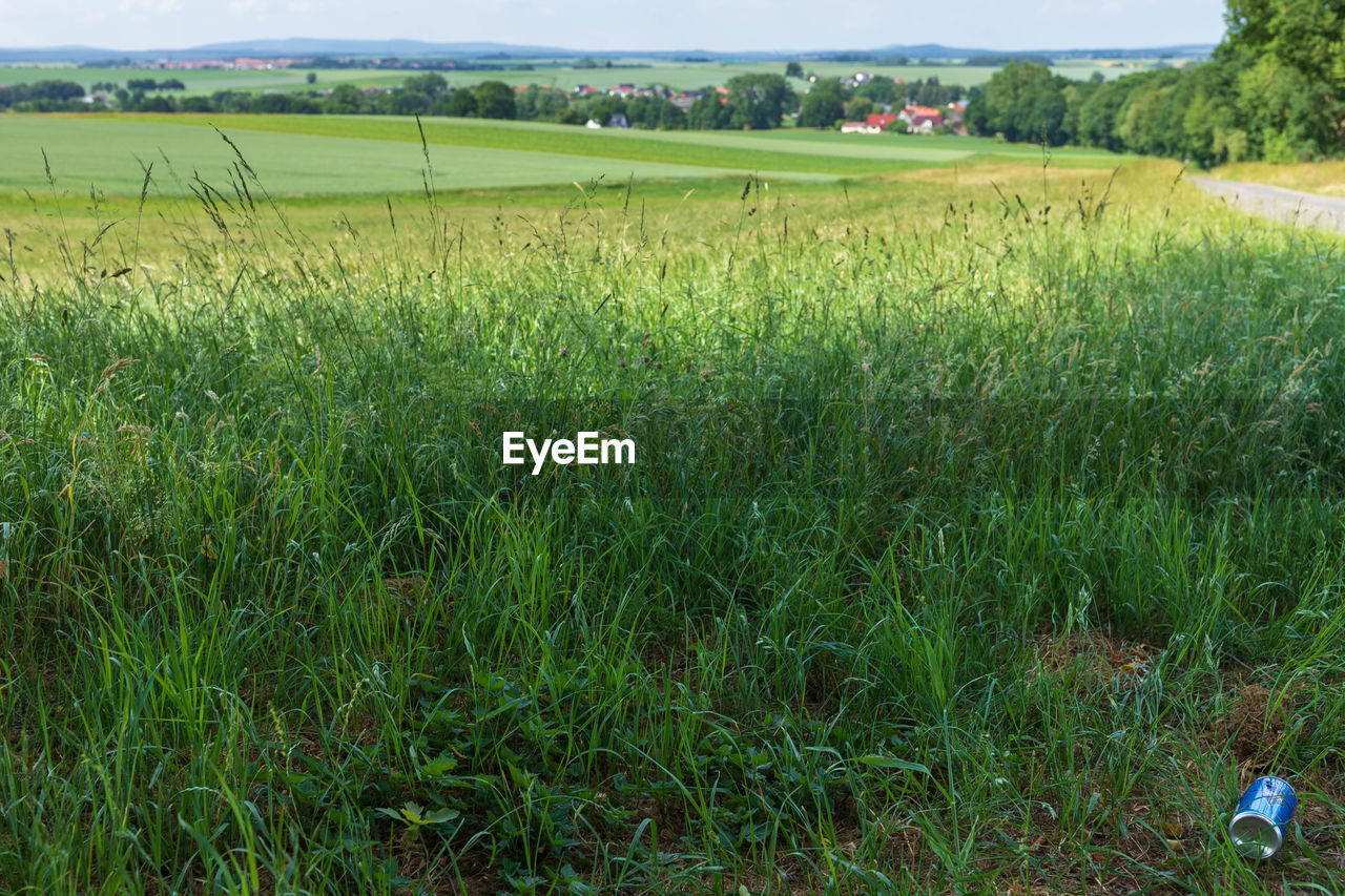 SCENIC VIEW OF FARM FIELD