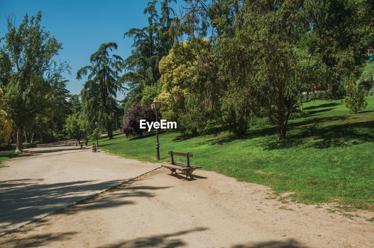 Dirt pathway with benches among trees and lush vegetation on a leafy garden, in madrid, spain.