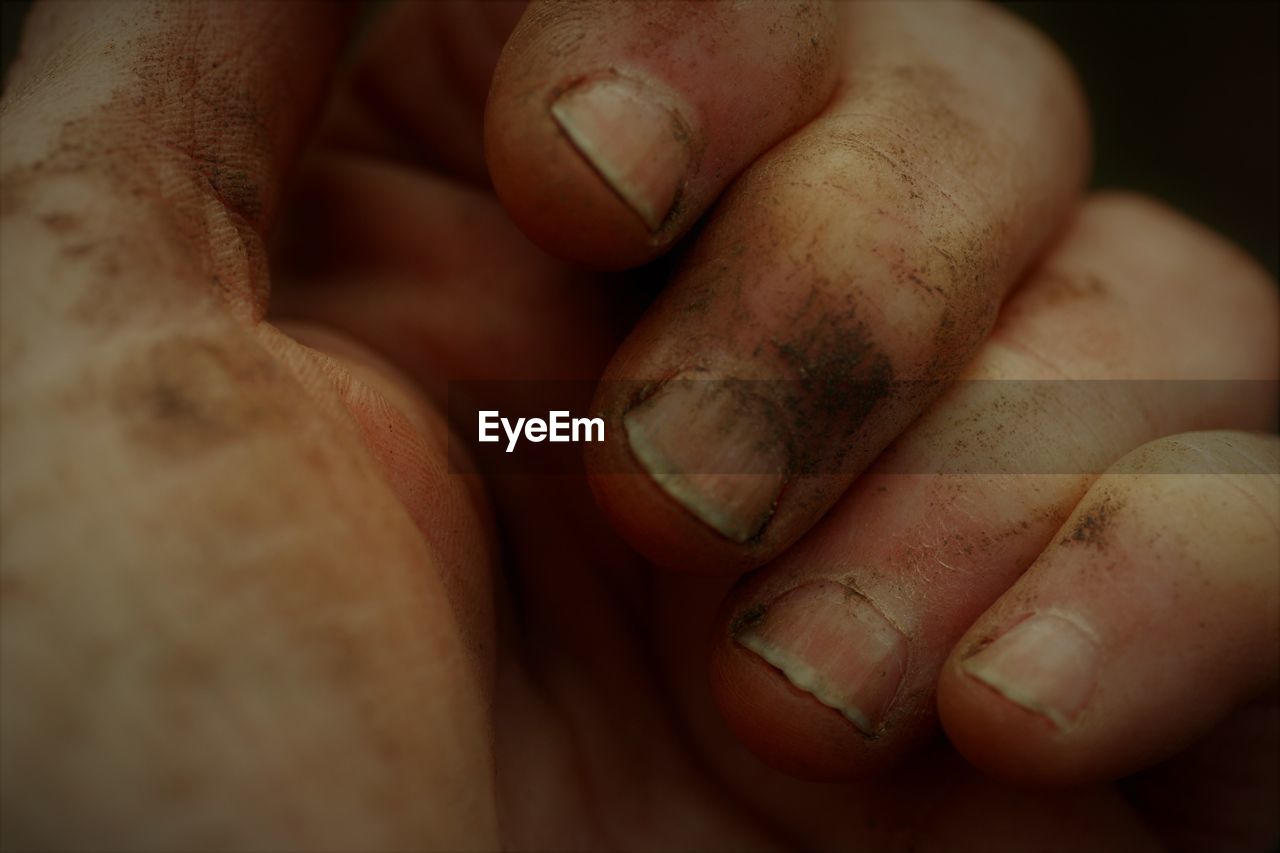 CLOSE-UP OF PERSON HAND HOLDING BREAD