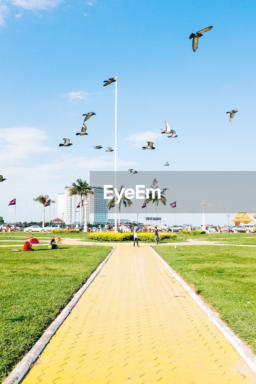 Birds flying over park against sky