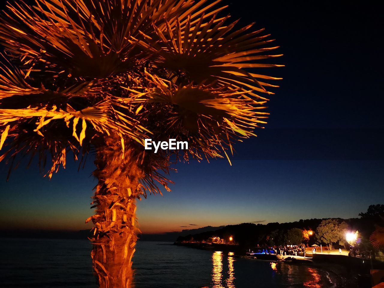 FIREWORK DISPLAY BY SEA AGAINST SKY AT NIGHT