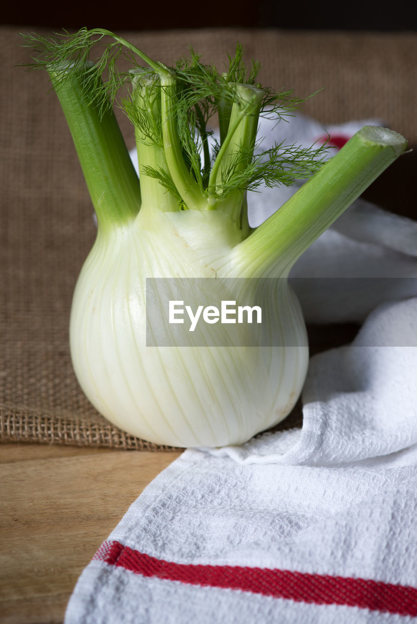 HIGH ANGLE VIEW OF VEGETABLES ON WHITE TABLE