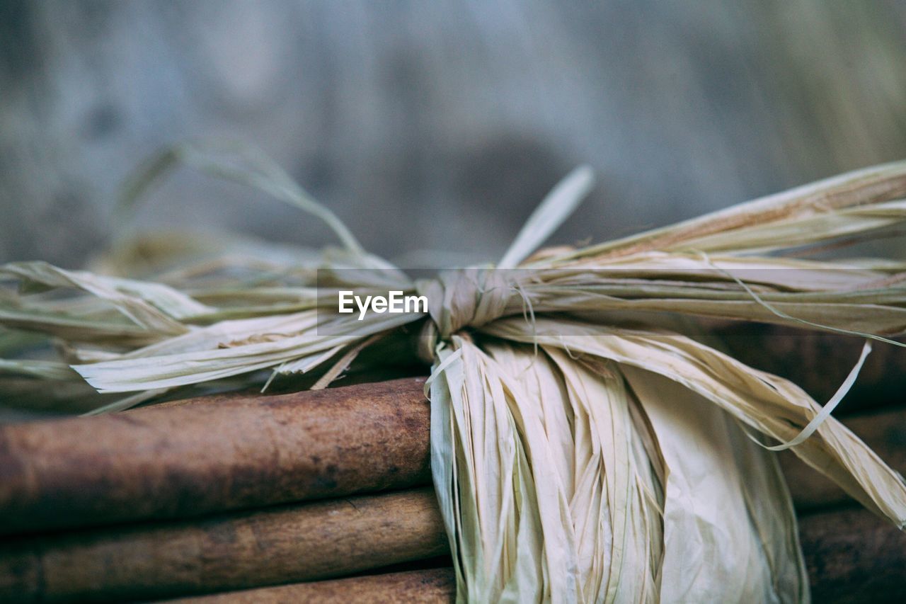 Close-up of cinnamon bundle