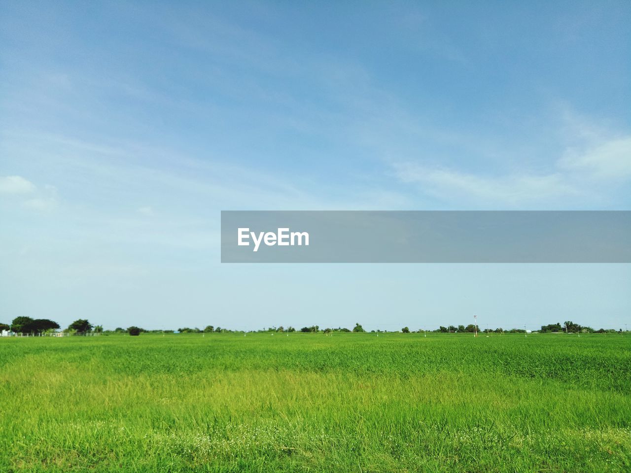 SCENIC VIEW OF AGRICULTURAL LANDSCAPE AGAINST SKY
