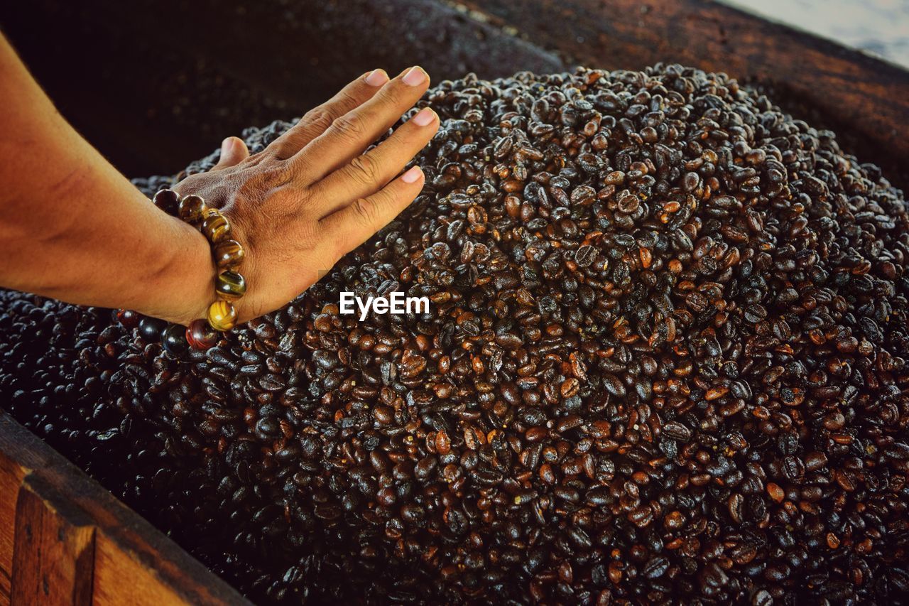 Cropped hand of woman touching coffee beans