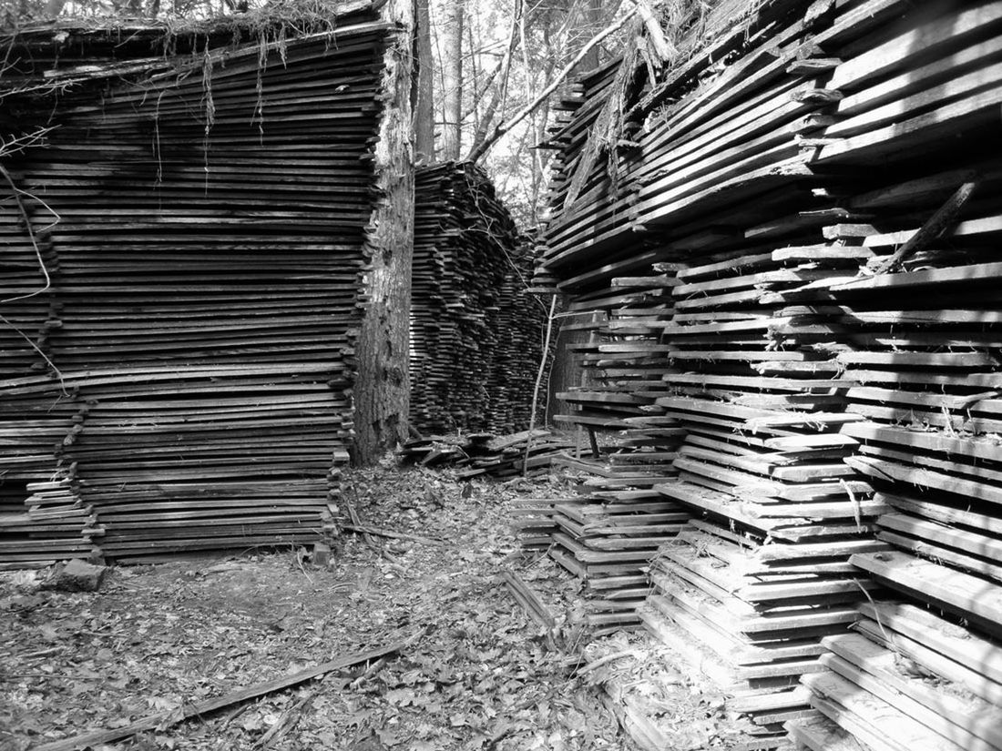 Stack of planks in forest