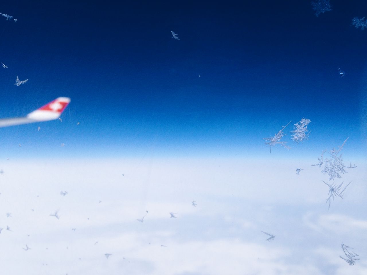 BIRDS FLYING OVER BLUE SKY