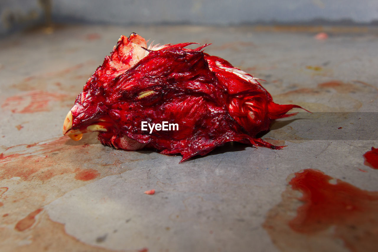 CLOSE-UP OF DRY RED LEAF ON FLOOR