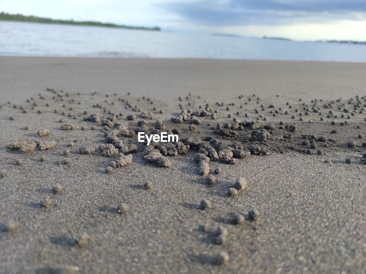 Surface level of sandy beach