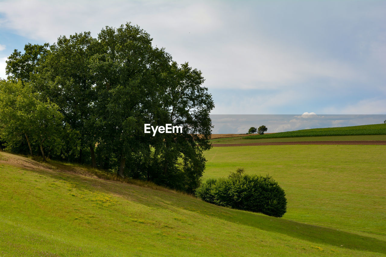 SCENIC VIEW OF LAND AGAINST SKY