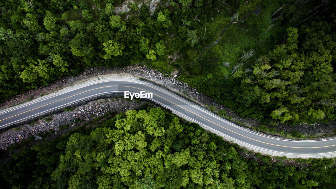 High angle view of country road amidst trees in forest