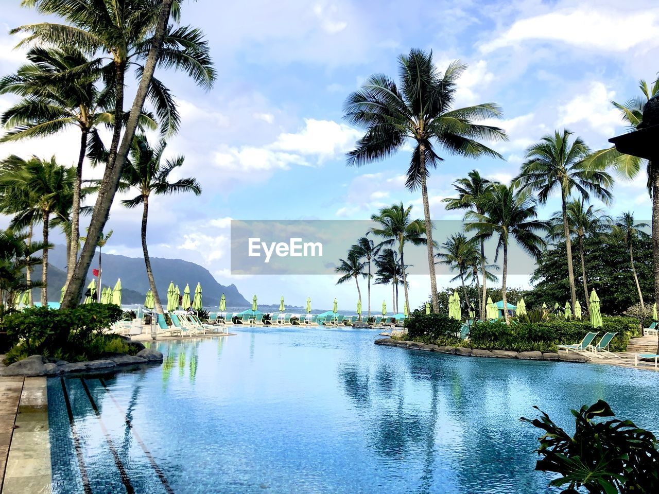 Palm trees by swimming pool against sky