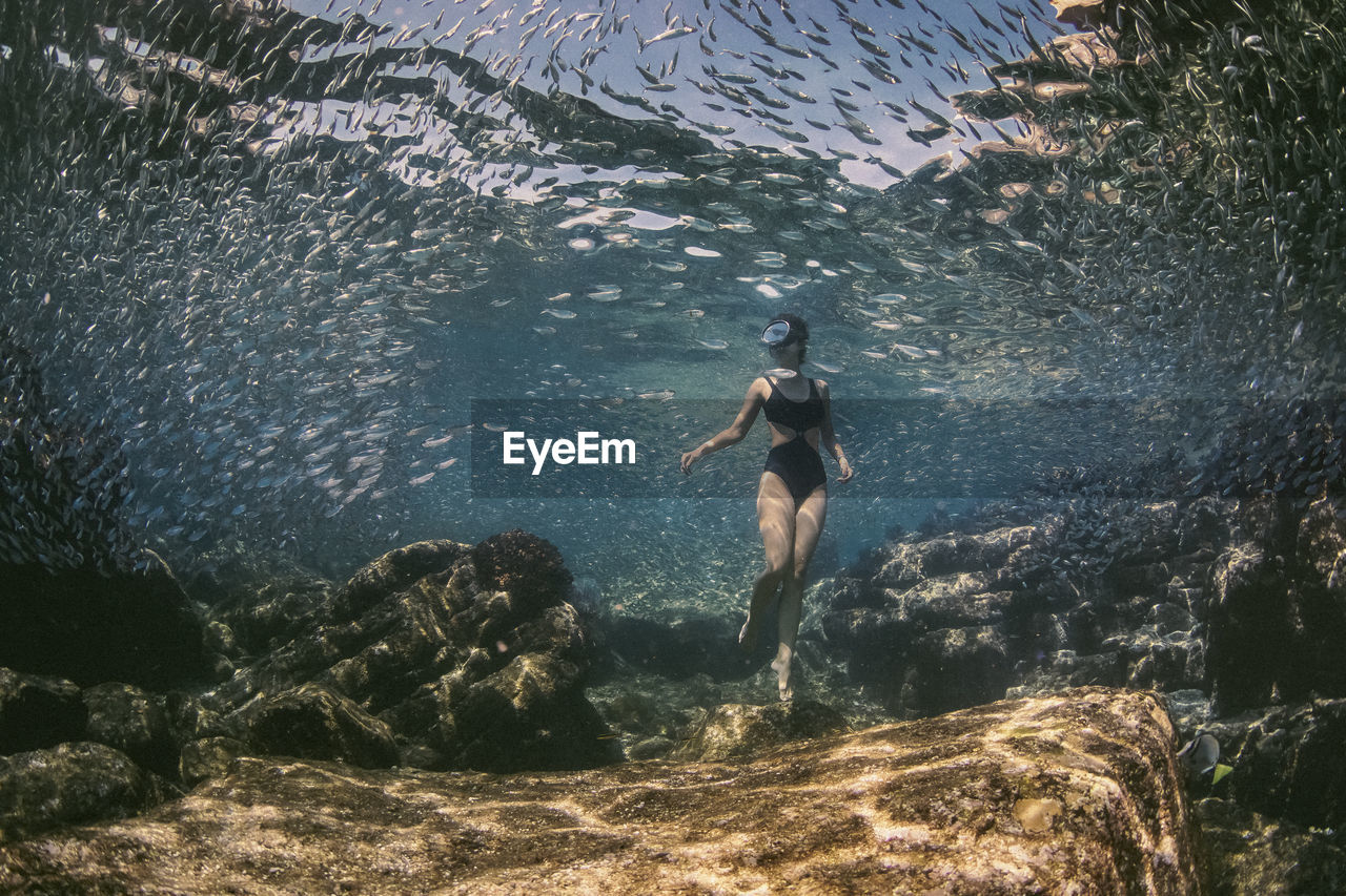 Woman wearing bikini swimming in sea