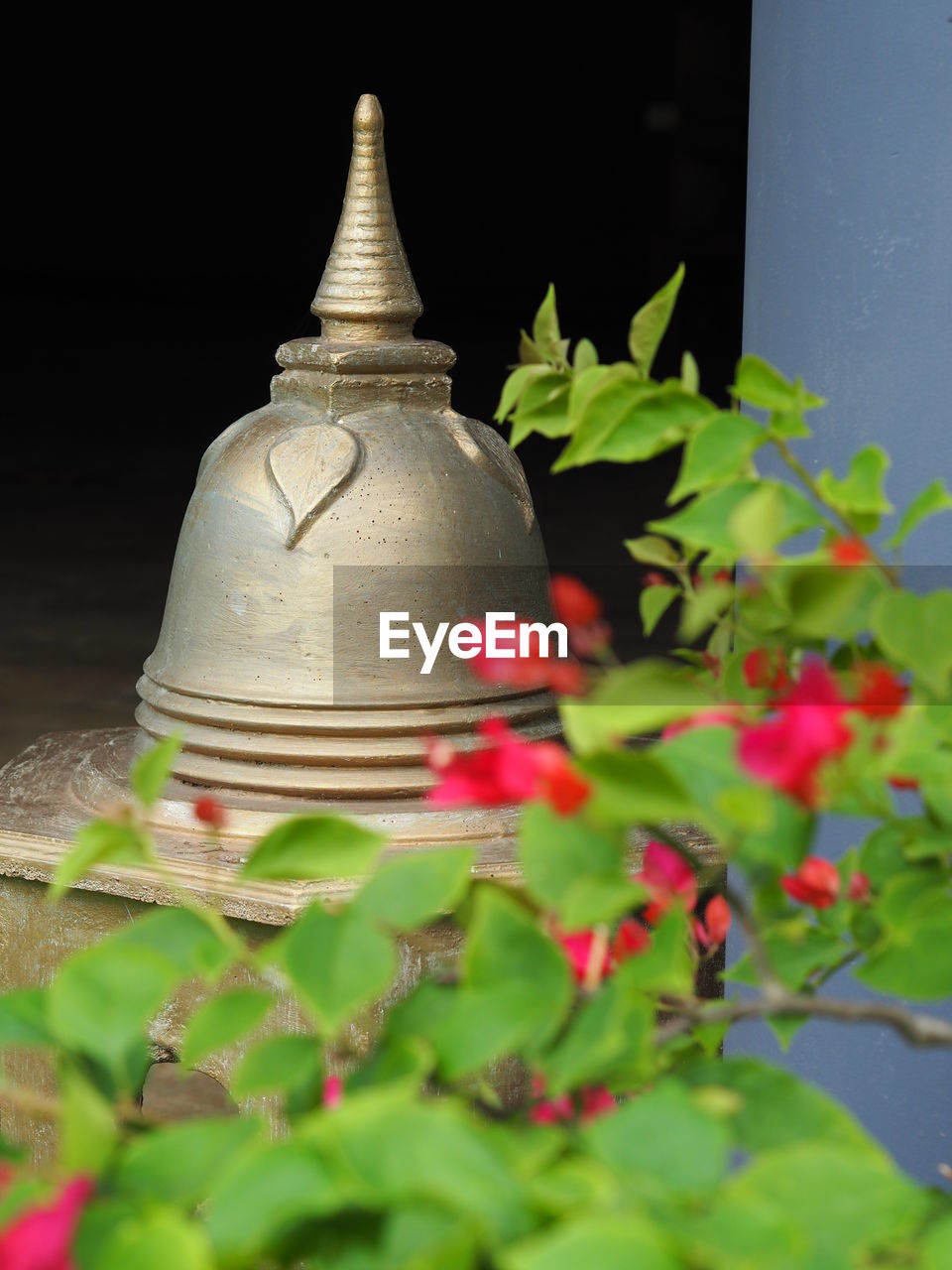 Plants in front of stupa at temple