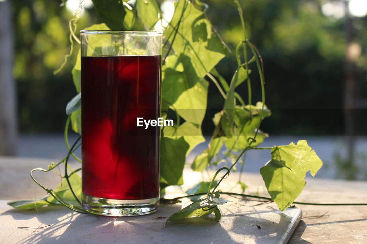 CLOSE-UP OF DRINK ON TABLE OUTDOORS