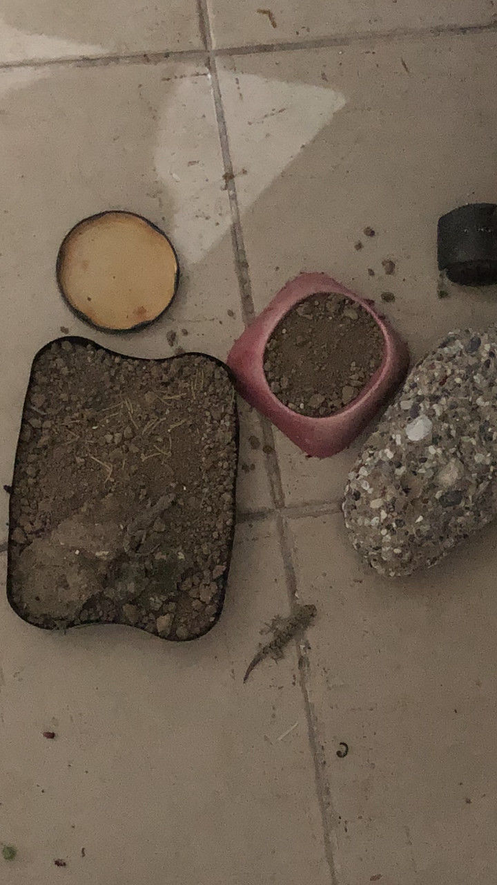 soil, high angle view, no people, indoors, iron, food and drink, still life