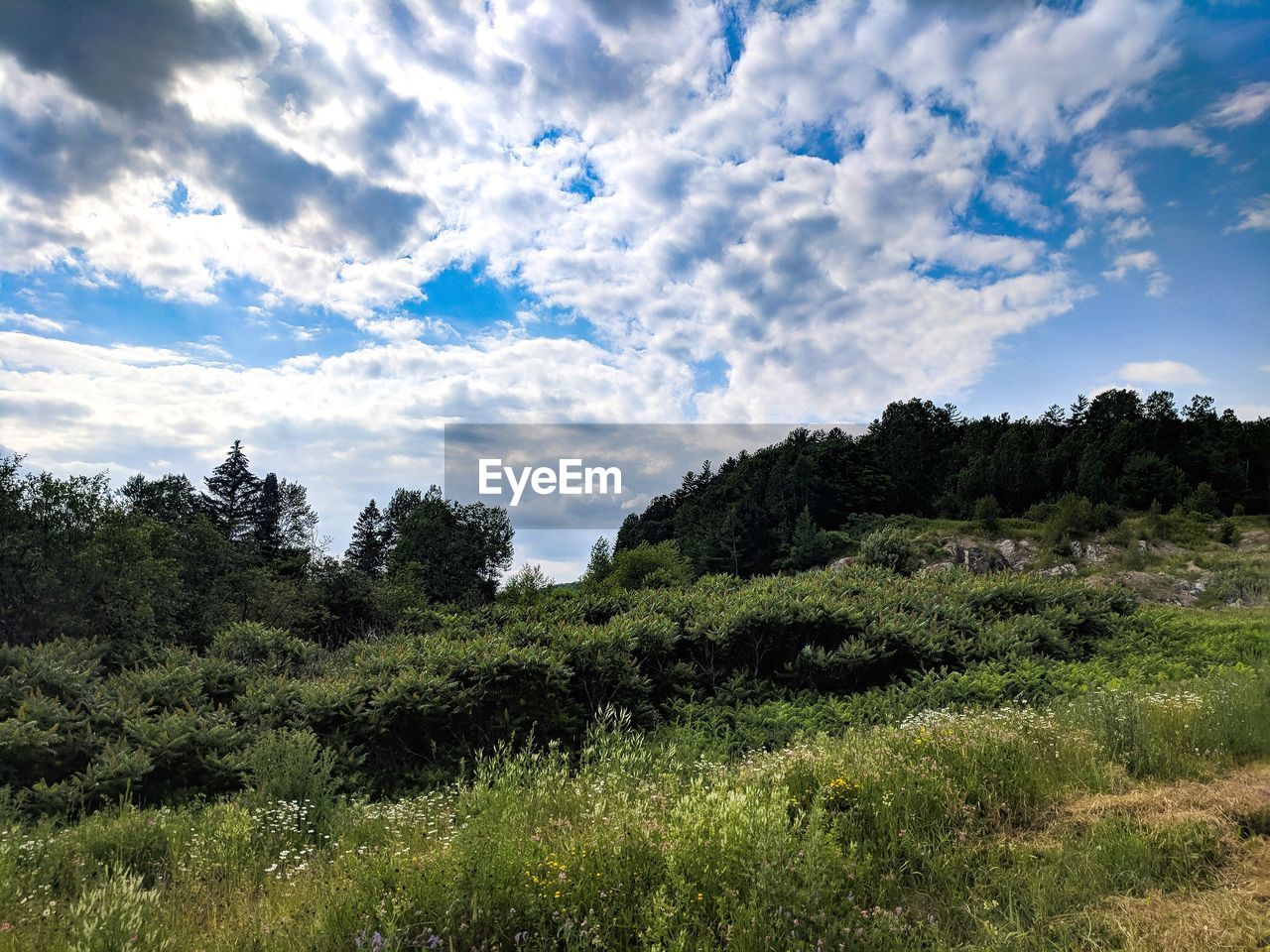 SCENIC VIEW OF LAND AGAINST SKY