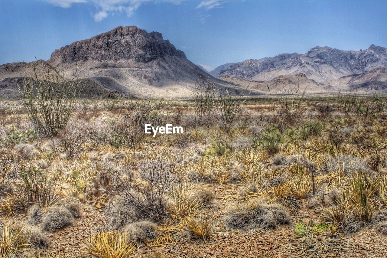 Countryside landscape against rocky mountains