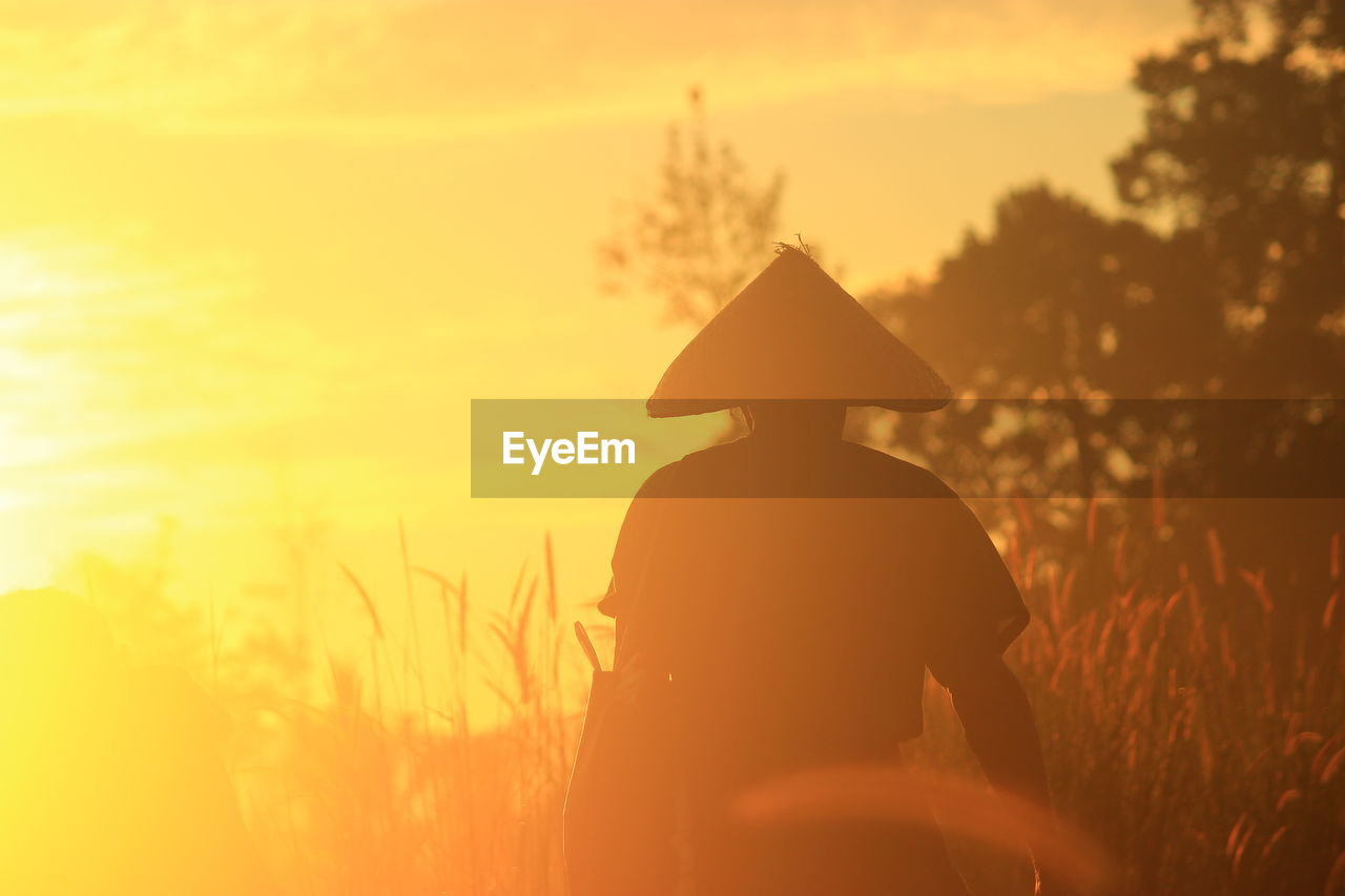 Rear view of silhouette farmer wearing asian style conical hat while standing at farm against sky during sunset