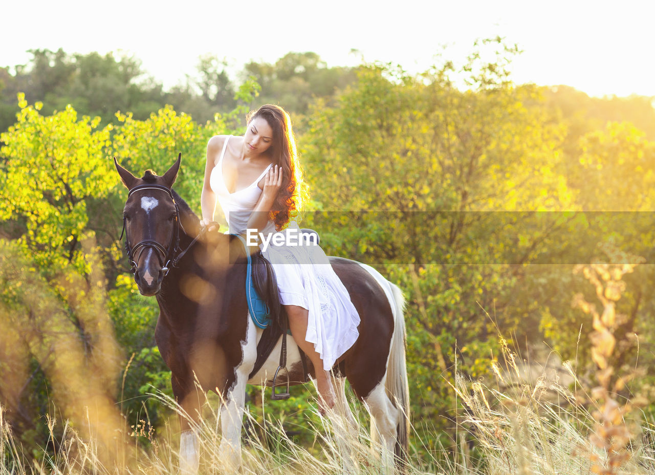 MAN RIDING HORSE