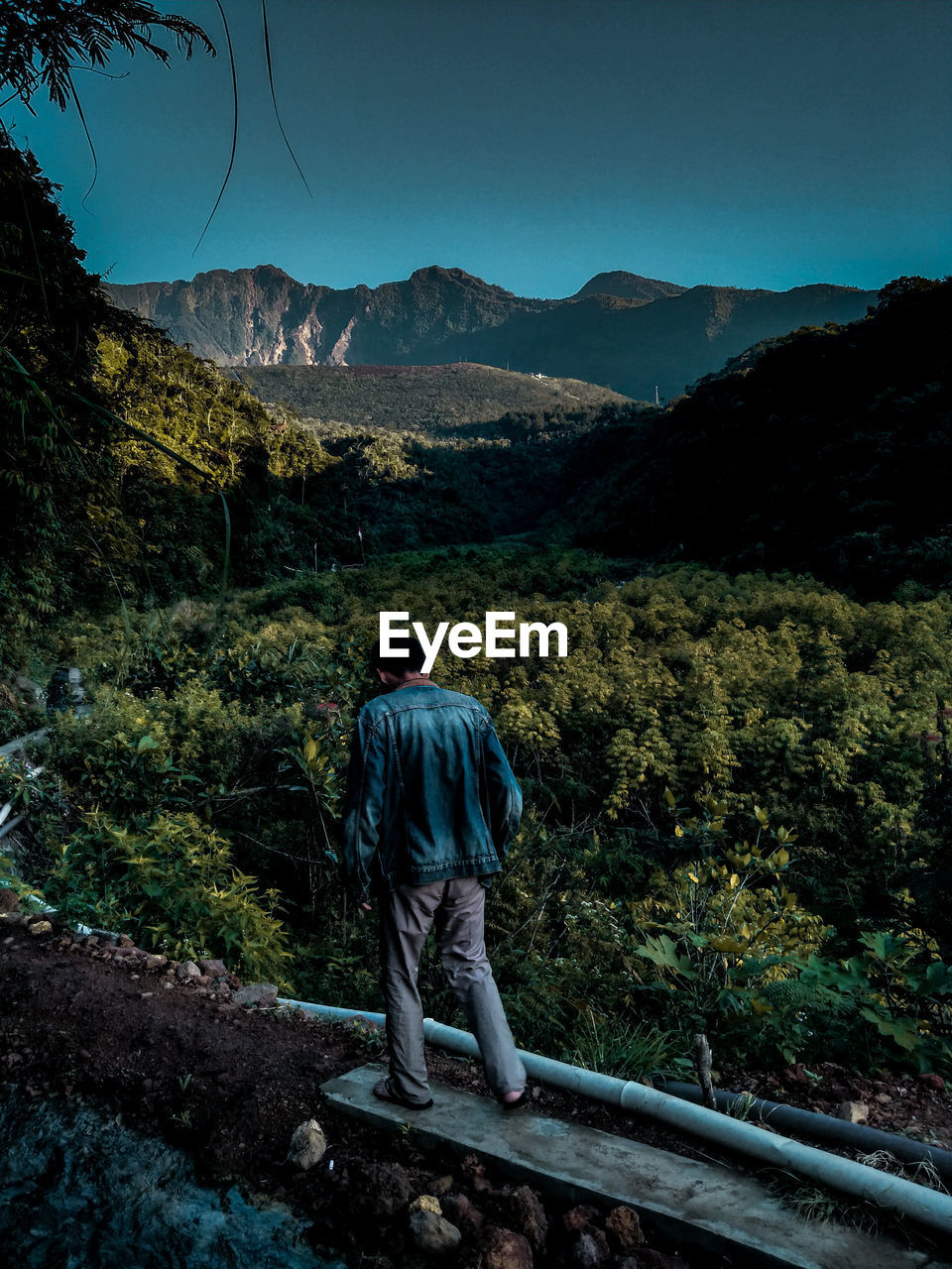 Rear view of man looking at mountains against sky