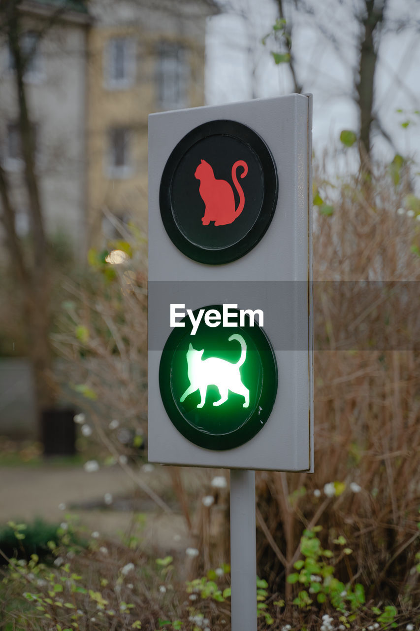 Day of cats, traffic light for the movement of animals, city of cats, animal monument