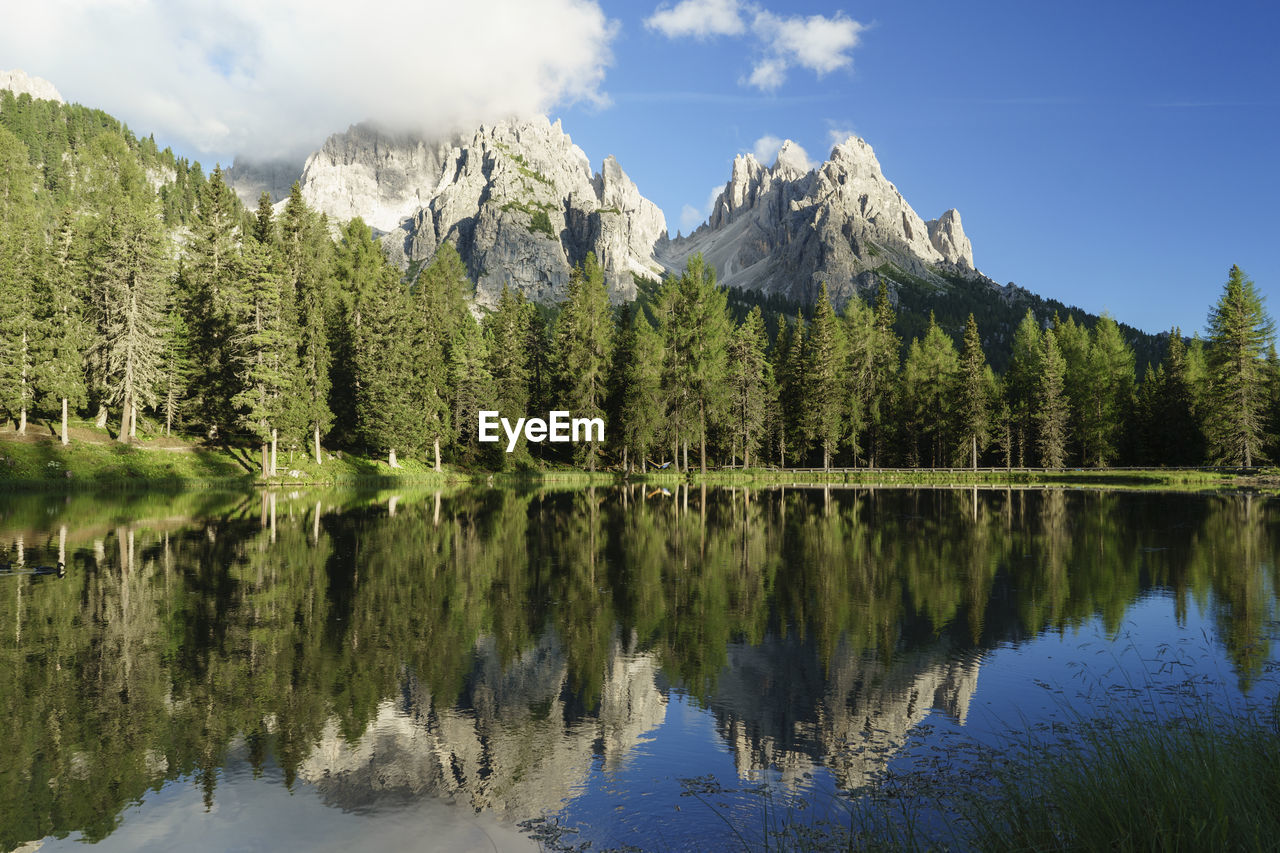 Trees and mountains reflecting in lake