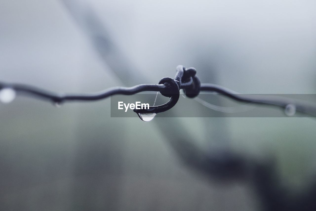 close-up, macro photography, no people, wire, metal, water, focus on foreground, wire fencing, fence, branch, security, protection, selective focus, barbed wire, nature, drop, outdoors, twig, wet, day, light, communication, white