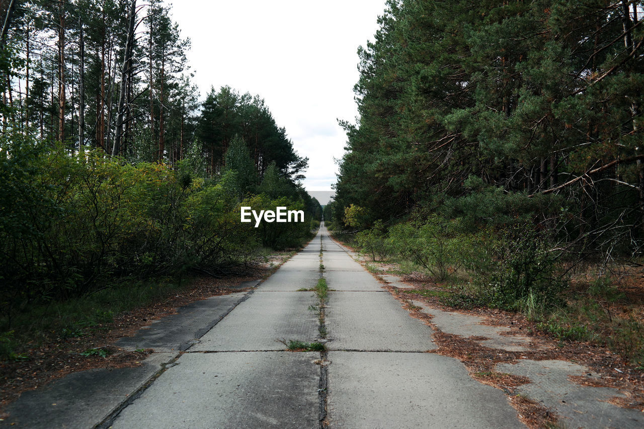 Empty road amidst trees against sky