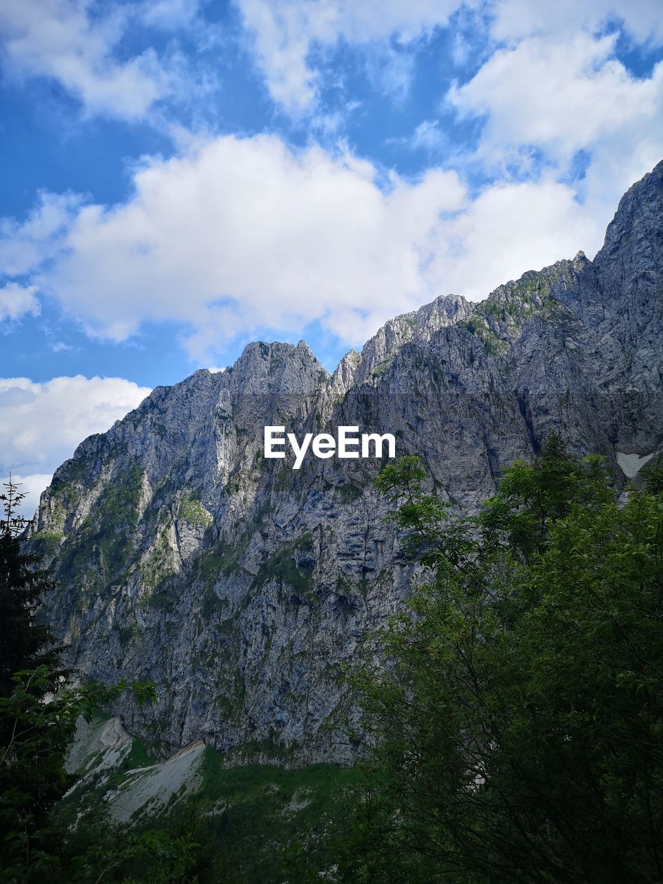 LOW ANGLE VIEW OF PLANTS AGAINST MOUNTAIN RANGE