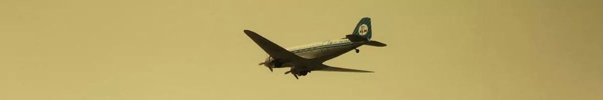 LOW ANGLE VIEW OF BIRD FLYING IN SKY