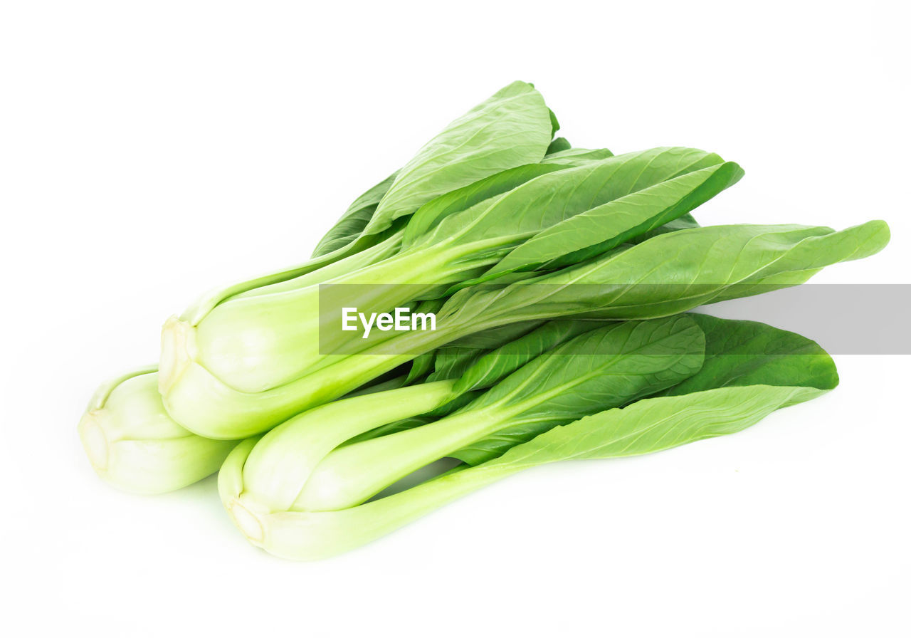 Close-up of green bok choys on white background