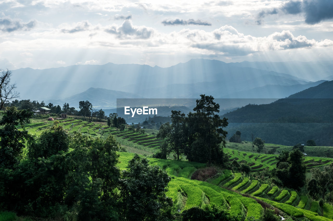 PANORAMIC VIEW OF LANDSCAPE AND MOUNTAINS