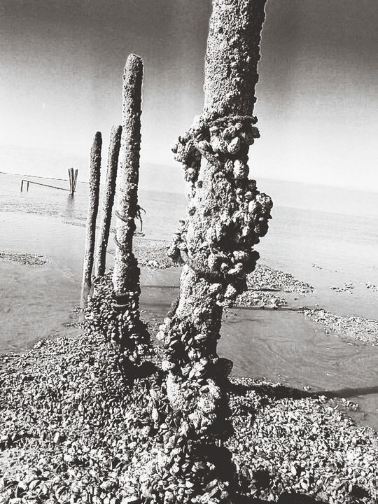 VIEW OF SEA AGAINST SKY