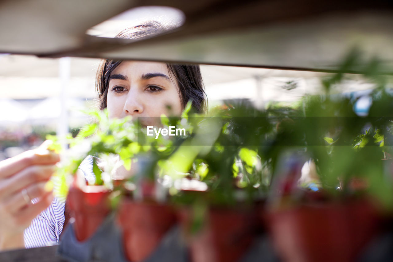 Woman shopping for potted plants at market stall