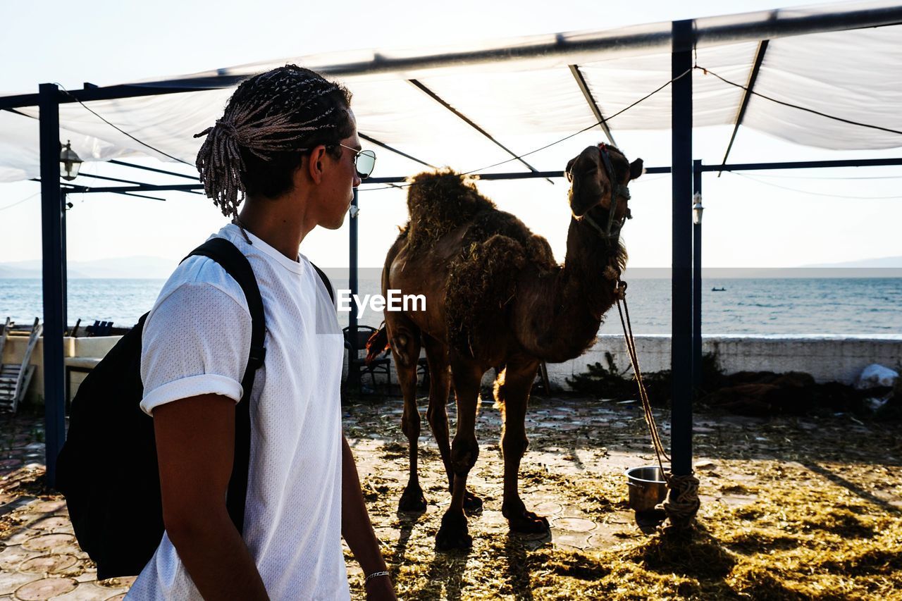 Man looking at camel against sea