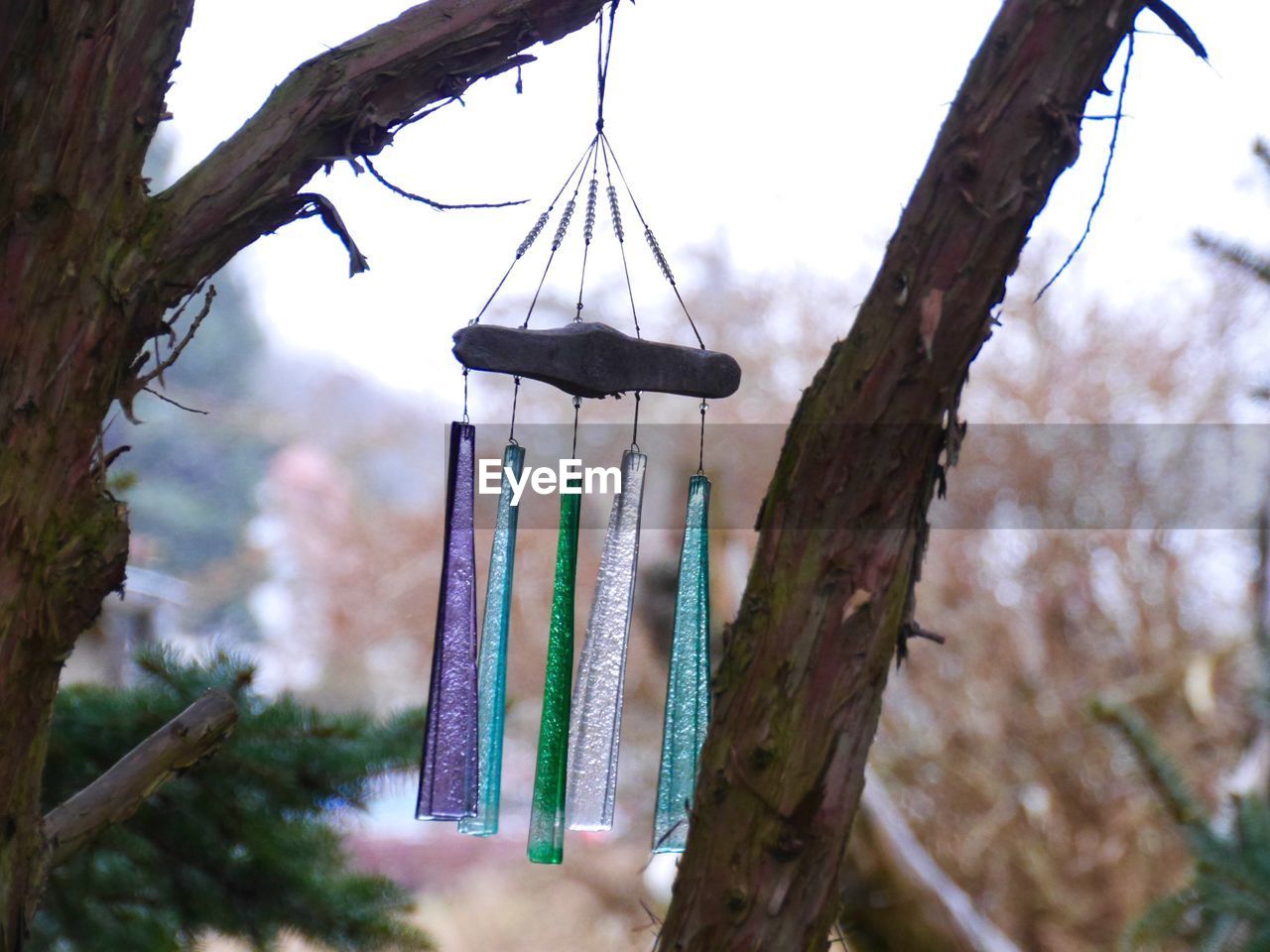 LOW ANGLE VIEW OF BIRDHOUSE ON TREE AGAINST SKY