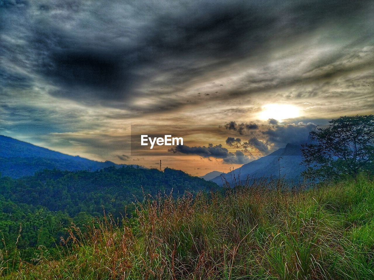 SCENIC VIEW OF FIELD AGAINST CLOUDY SKY DURING SUNSET