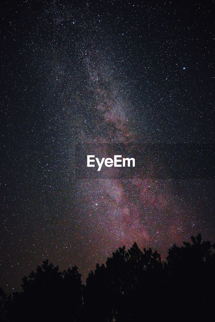 Low angle view of trees  and milky way against sky at night