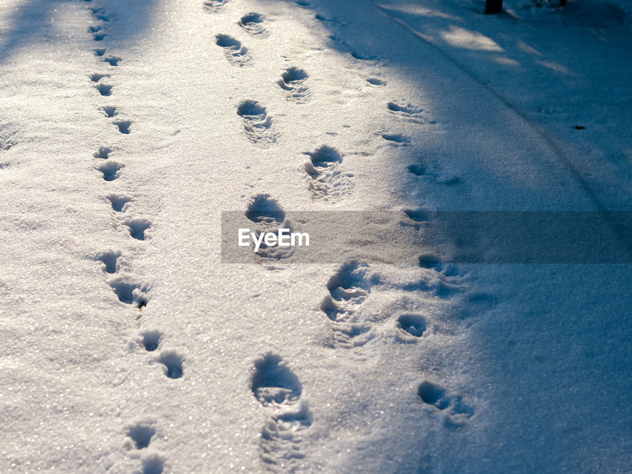 CLOSE-UP OF FOOTPRINTS ON SNOW COVERED LAND