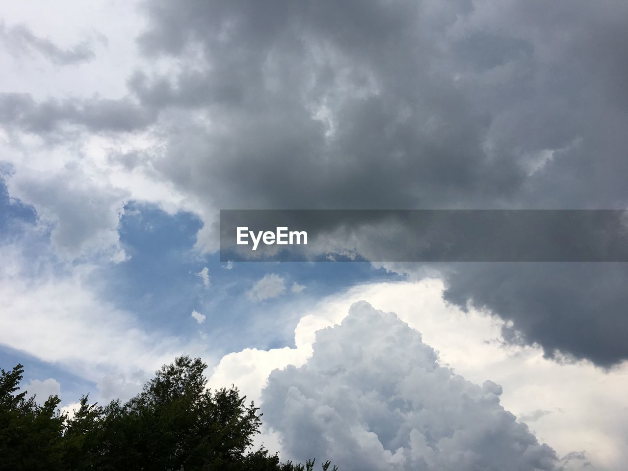 LOW ANGLE VIEW OF TREES AGAINST CLOUDY SKY