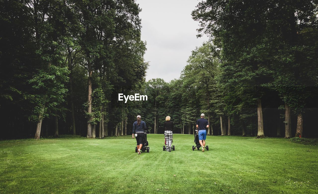 REAR VIEW OF PEOPLE WALKING BY TREES