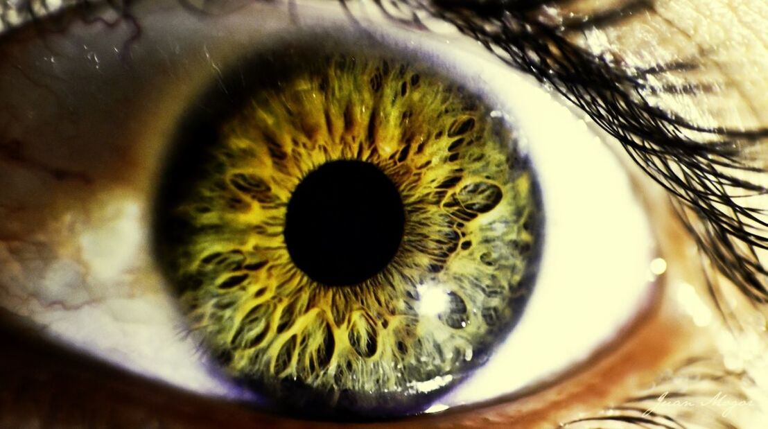 Extreme close-up of human eye