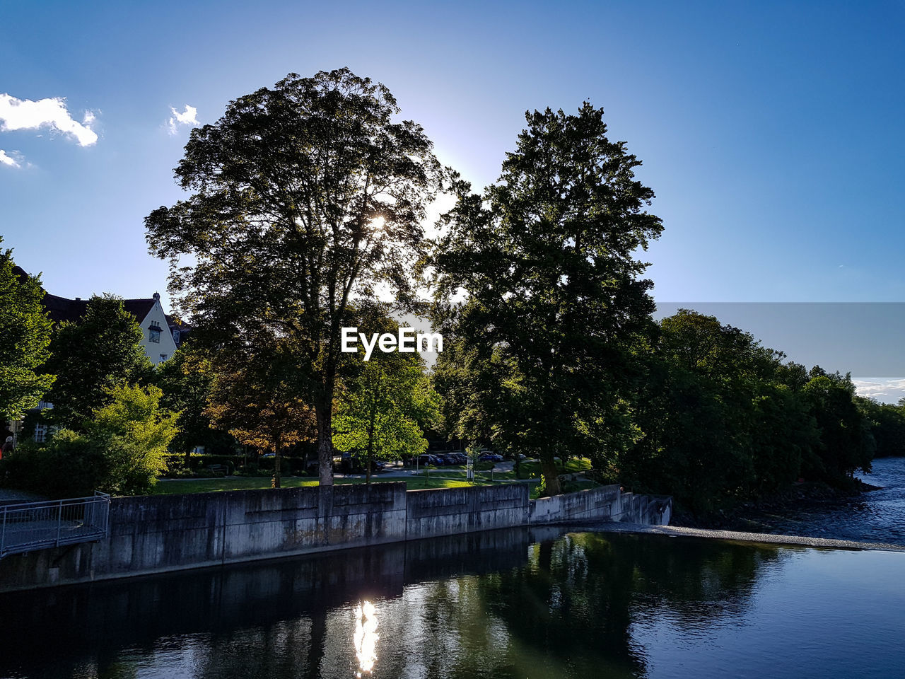 RIVER AMIDST TREES AGAINST CLEAR SKY