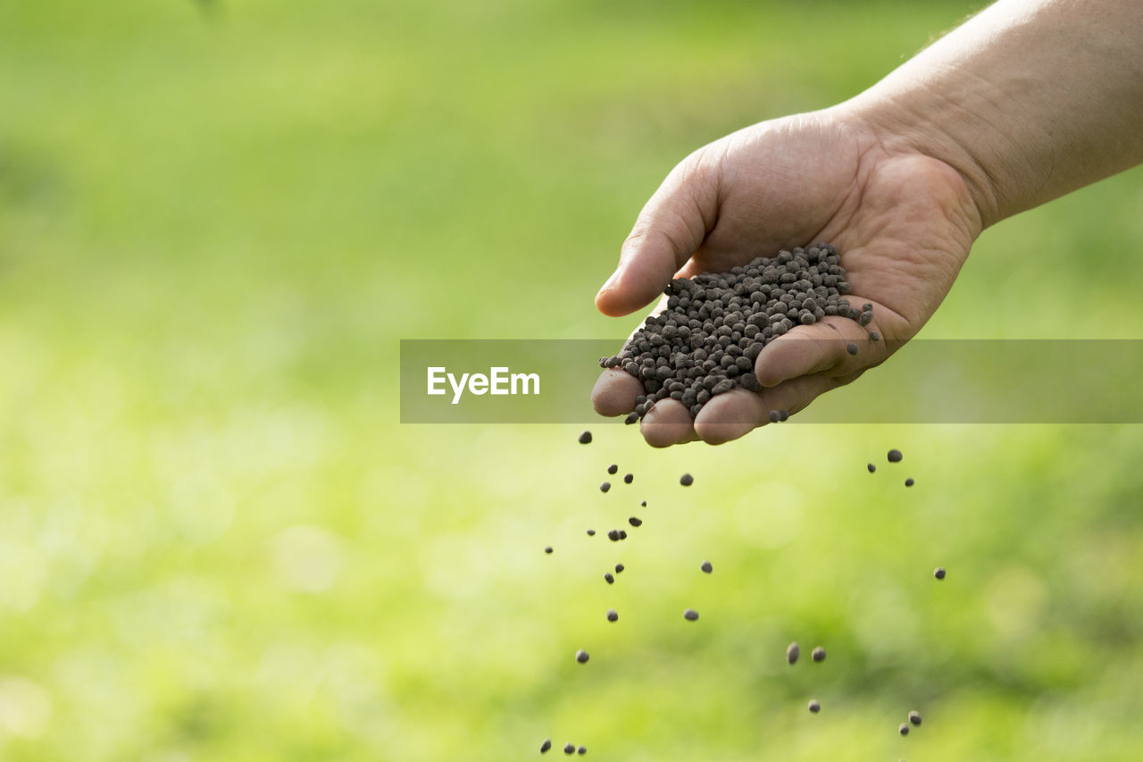 Cropped hand spilling seed on field