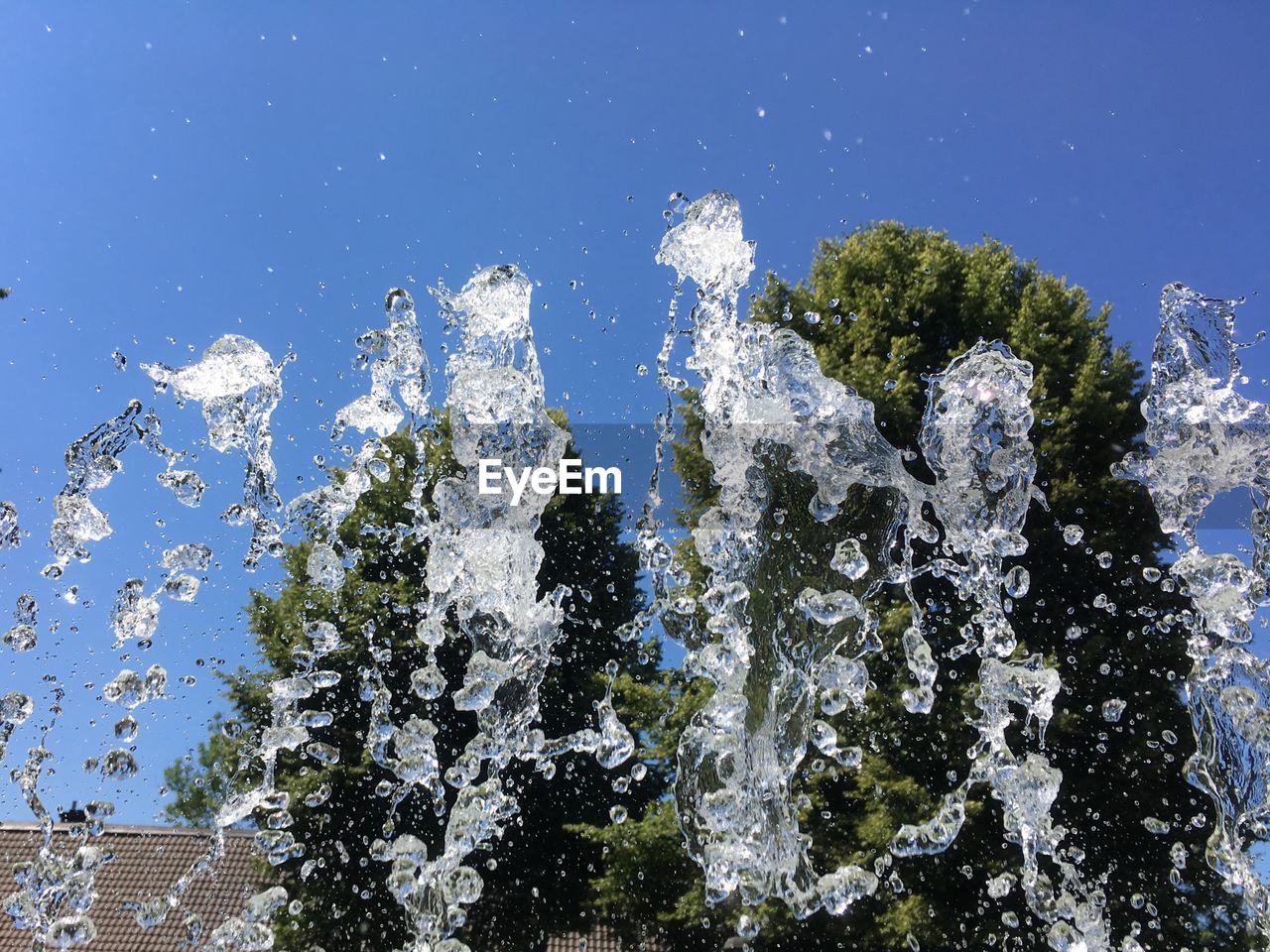 LOW ANGLE VIEW OF TREES AGAINST BLUE SKY